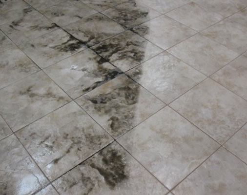 Complete Tile and Grout Cleaning